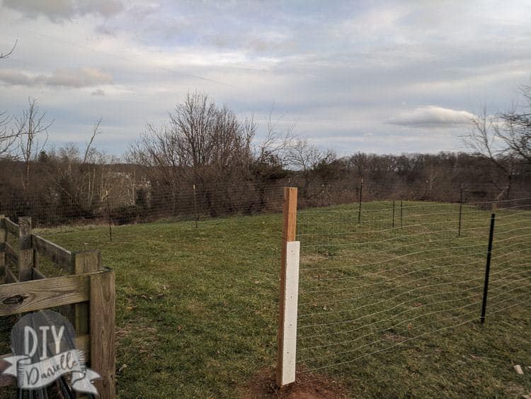 5' welded wire fencing with T posts holding it up, as well as one wood post where the gate will be.