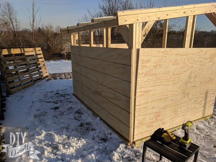 View of the back of the goat shed with the bottom siding panel installed.