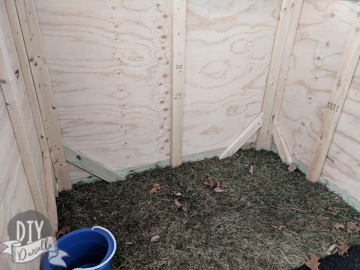 Interior of goat shed.