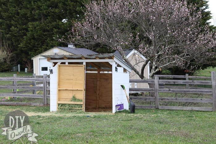 6x8' goat shed with a door and galvanized roofing. Peach tree in blossom in the back.