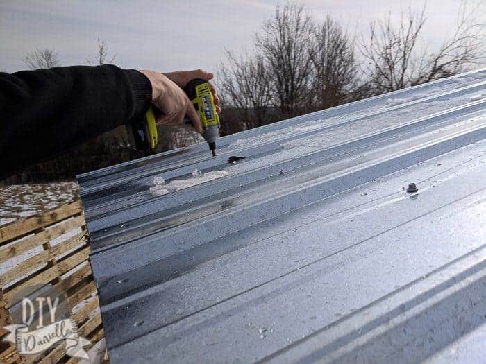 Adding galvanized metal roofing to the goat shed.