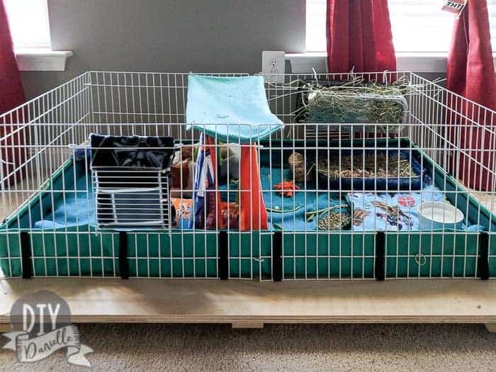 Midwest Guinea Pig cage on a wood base that has wheels.