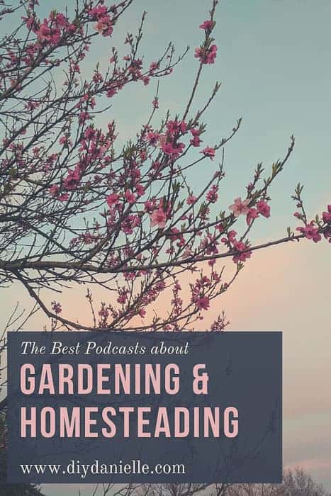 The best podcasts about gardening and homesteading. Learn about everything from gardening techniques to raising chickens and goats with these informative podcasts.