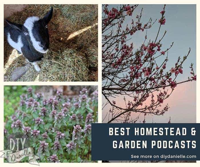 Best homestead and garden podcasts if you want to learn more about homesteading, gardening, and permaculture.