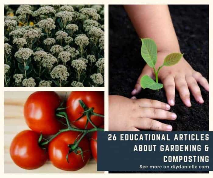 26 posts that can help you learn more about gardening and composting.