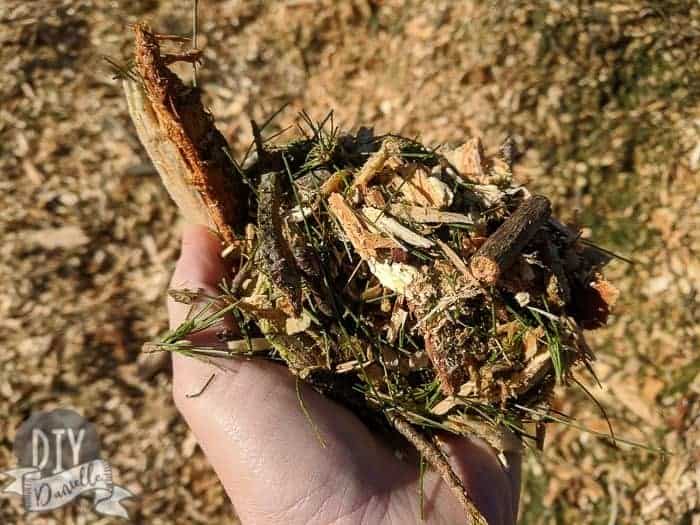 Wood chips used as mulch.