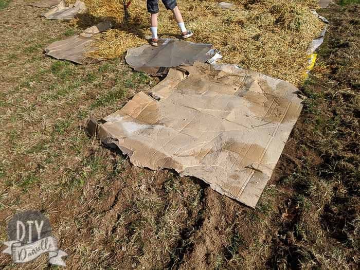 Cardboard instead of landscaping fabric. It breaks down in the soil, but works for a year or two.