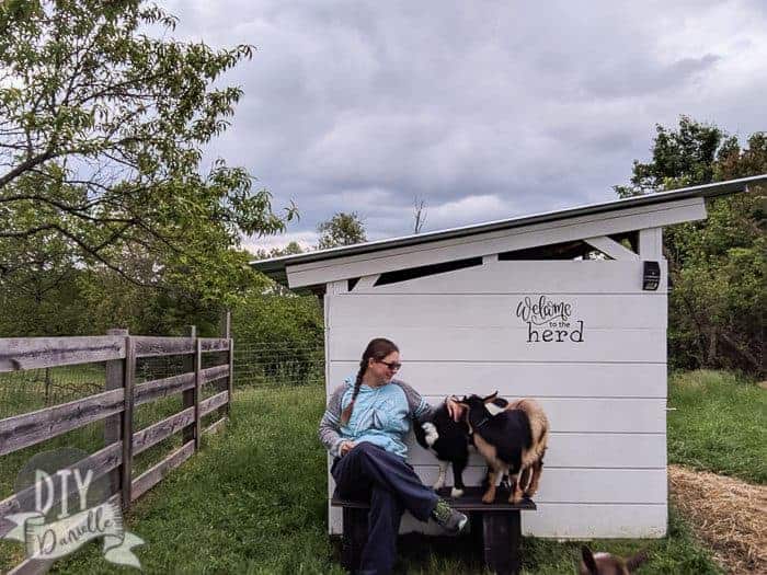 Welcome to the Herd sign on the side of a white 6x8 goat barn. Me sitting on a small cinderblock and wood bench with two of my goats.