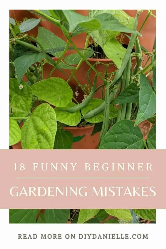 18 funny beginner gardening mistakes to learn from!