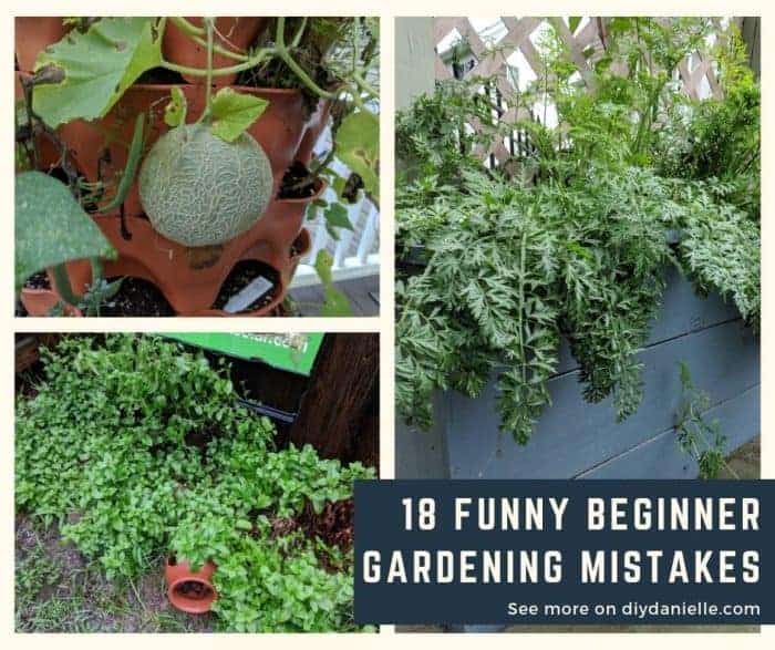 Garden mistakes to avoid making when you start your garden.