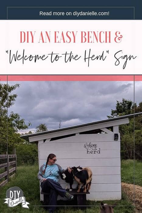 How to make an easy bench with cinder blocks and a "Welcome to the Herd" sign. 