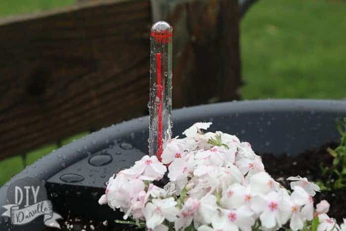 A full basin of water in the self watering pot makes the red tube rise to the max line.