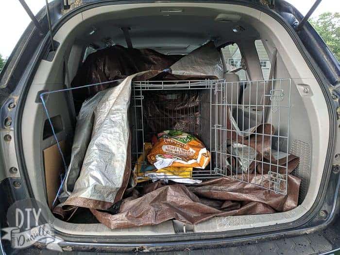 Dog crate in back of minivan for transporting the chickens.