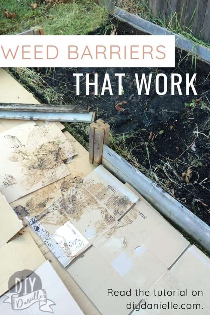Weed Barriers that Work DIY Danielle®