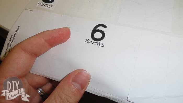 Hand written "6 months" tag for a monthly baby photo