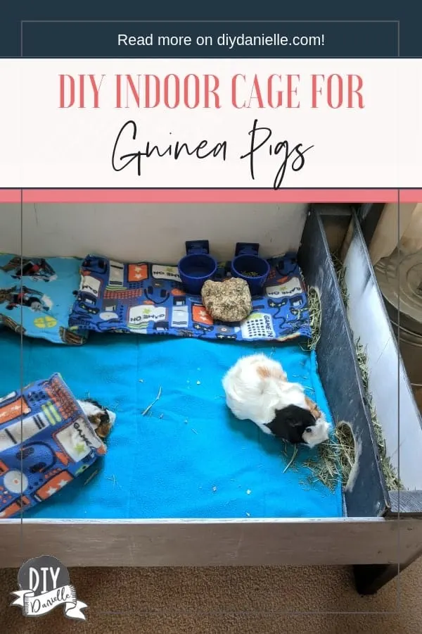 DIY wood indoor guinea pig cage. This was a project I threw together with a bunch of scrap wood.