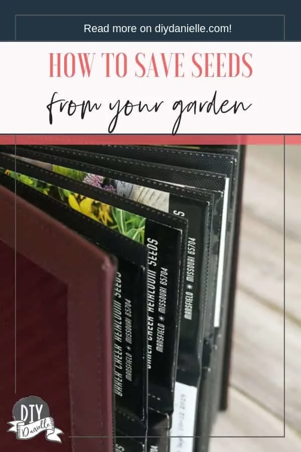 Tips for saving seeds from your garden. Use old photo albums to help organize seed packets!