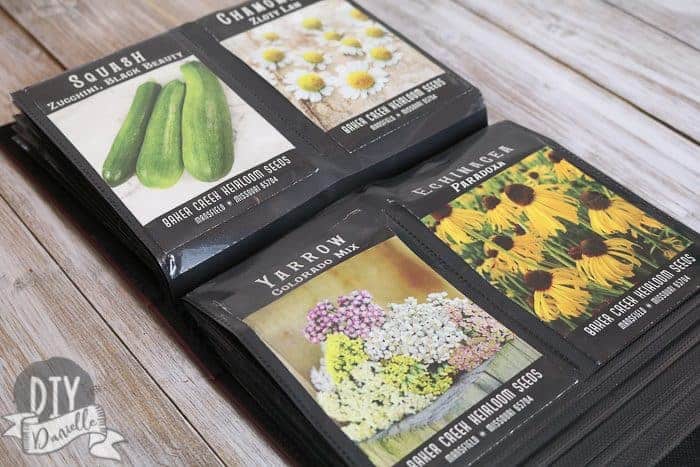 https://diydanielle.com/wp-content/uploads/2019/07/seed-saving-4-of-10-700x467.jpg