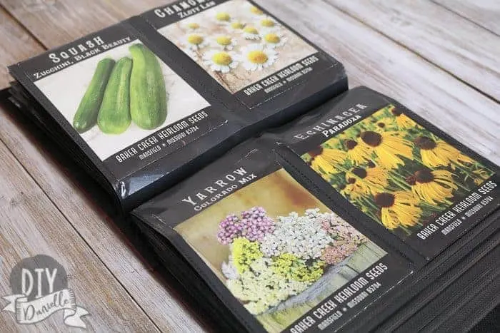 Seed packets organized neatly inside a photo album.