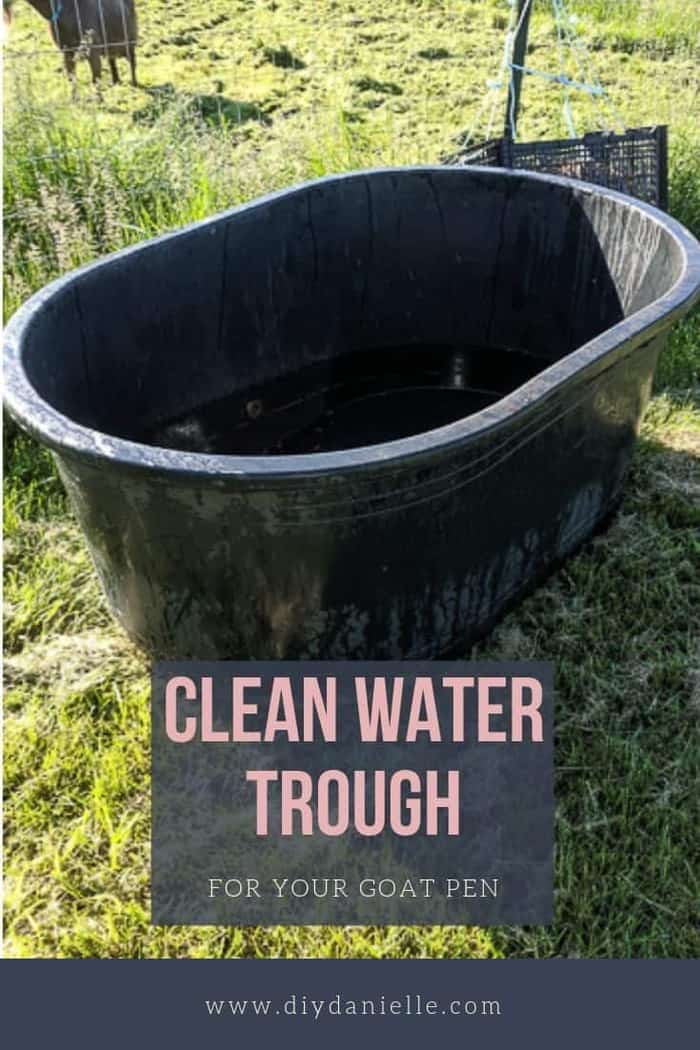 How to Keep a Water Trough Clean for Livestock DIY Danielle®
