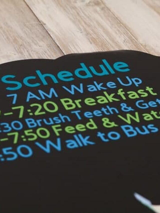 Back to School Kids Schedule with Cricut Story