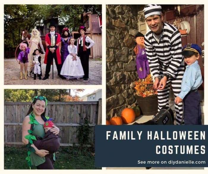 Family Halloween Costume Ideas for 2019. 