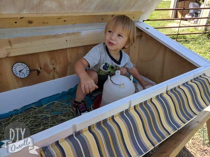 Toddler standing in the guinea pig hutch.