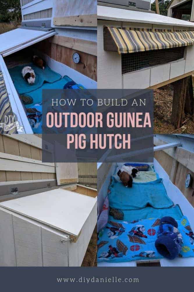 How to build an outdoor guinea pig cage with a predator-proof run below. This is a GAME CHANGER for giving the guinea pigs more space for the milder months! 