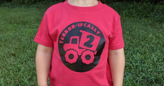 Photo: close up of a 2 year old boy wearing a red shirt. You cannot see his face. The shirt has a Cricut vinyl design on it with a dump truck. The text on the shirt says 'Terror-ifcally 2"

Make a cute 2 year old birthday shirt with Cricut! Simple step-by-step tutorial with design ideas, vinyl tips, and easy customization.