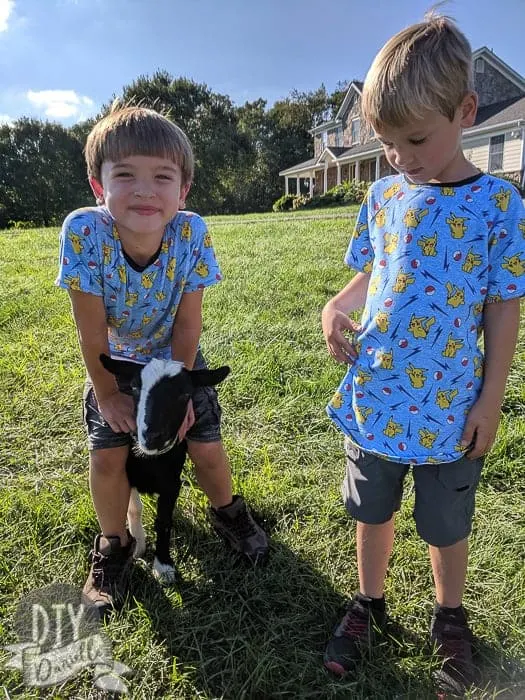 Pokemon shirts made with a raglan style shirt pattern. Two boys with matching shirts and a baby goat.