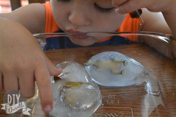 Dinos frozen inside "eggs" of ice.