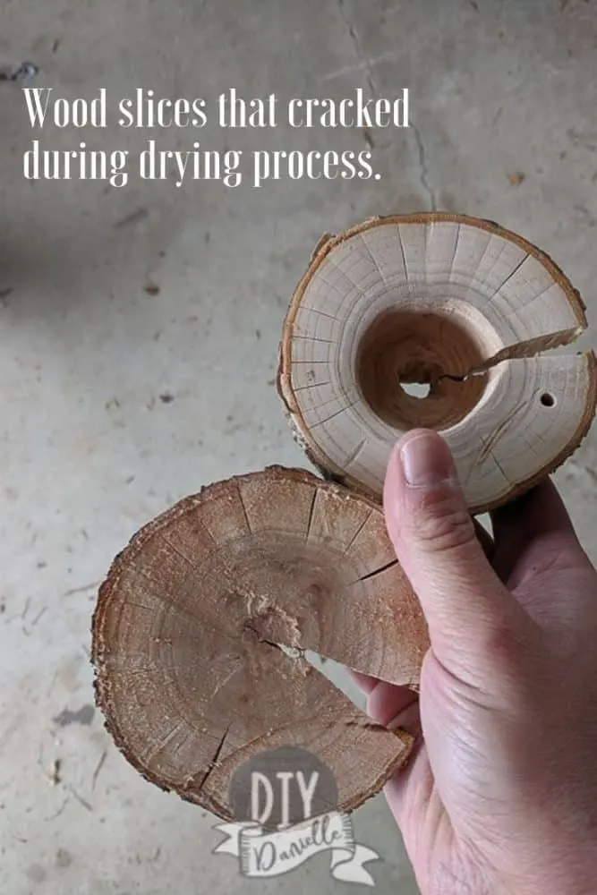 These wood slices cracked during the drying process. This is peach tree wood and fruit trees, in particular, will crack easily. 