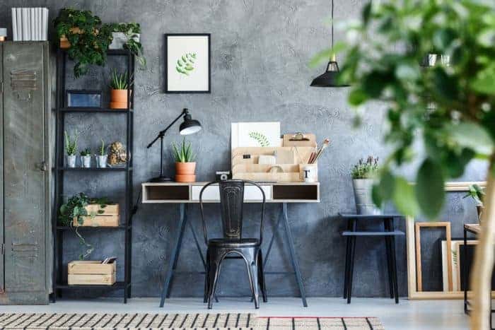 Bright office setup with indoor plants to clean the air in the room.