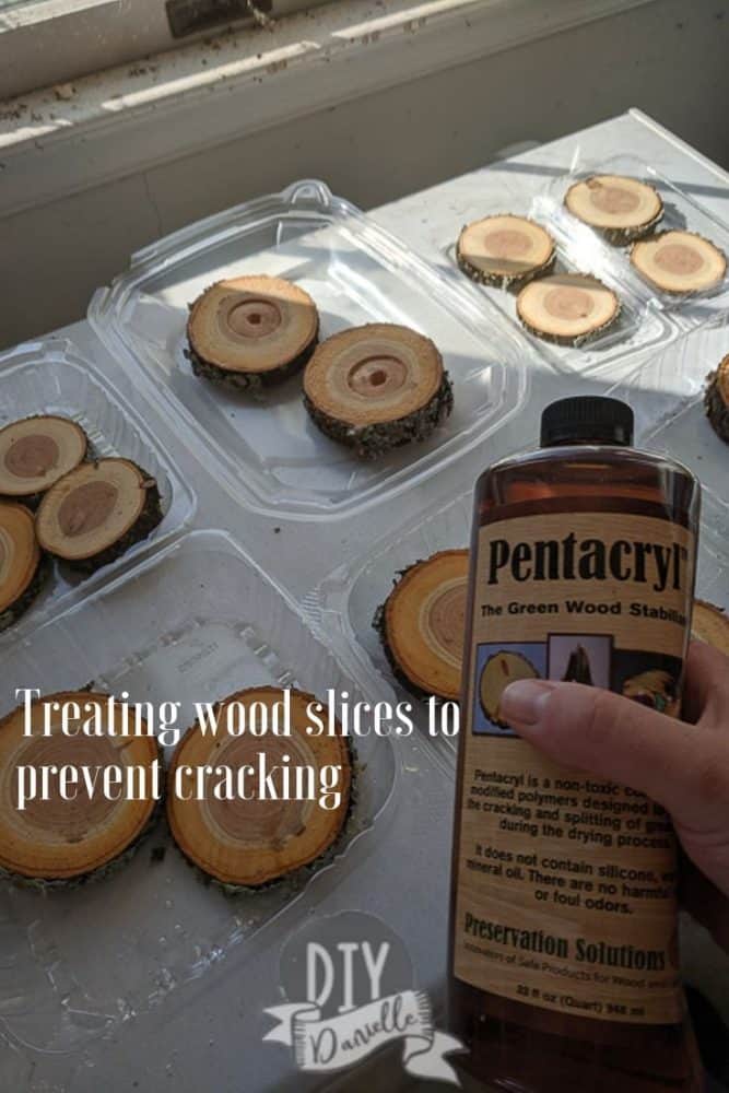 Soaking wood slices in Pentracryl to hopefully prevent them from splitting when dry.