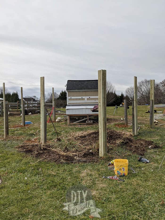 Posts for the DIY chicken run.