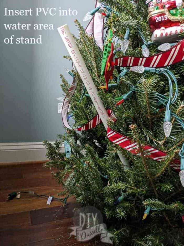 Insert PVC pipe into water area of Christmas tree stand.