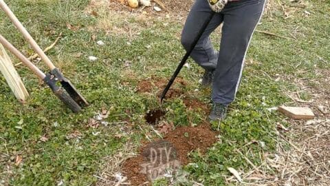 How to Dig a Fence Post Hole by Hand - DIY Danielle®