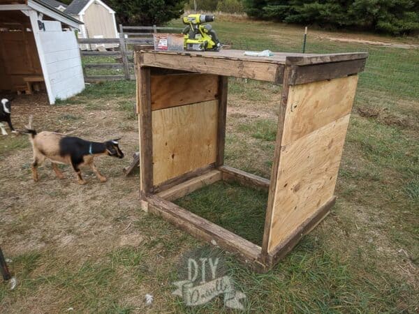 DIY Goat Playground with Pallets & Scrap Wood - DIY Danielle®