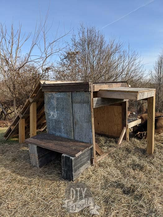 The small perch on the right was added as an afterthought and is surprisingly well supported (there's a lot going on there). It also gives more coverage out of the rain.