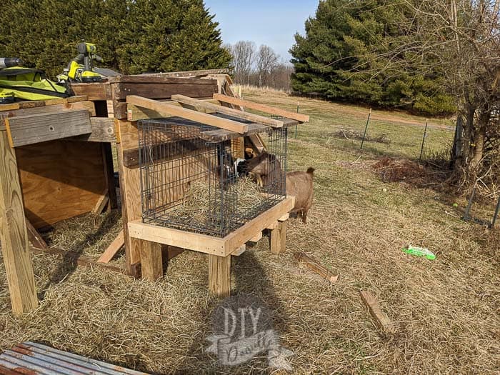 Building a top for the hay feeder.