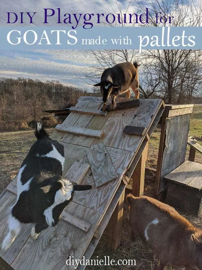 How to make a play structure for your goats using a pallet and scrap wood!