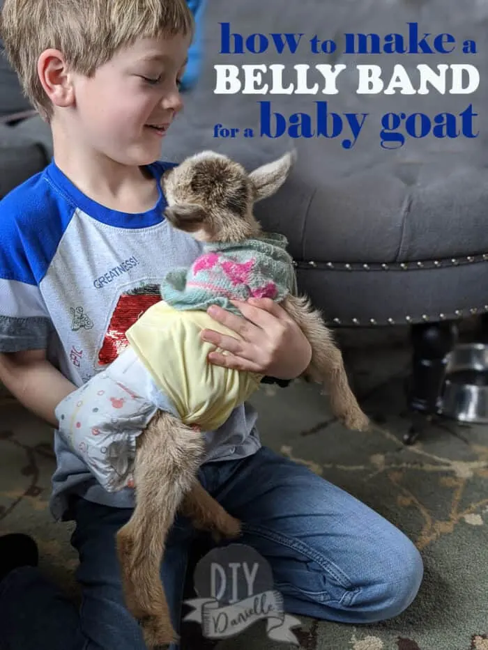 How to make a belly band for a baby goat- GET THE PATTERN!