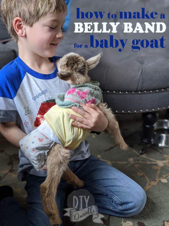 DIY Goat Diapers for Small Breeds DIY Danielle®