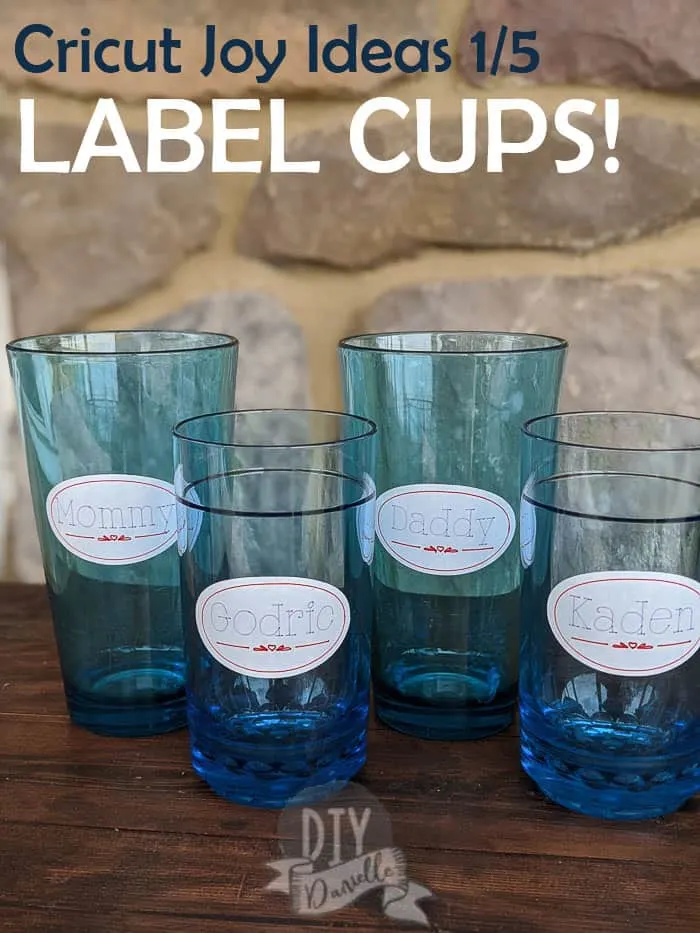 Cricut Joy Ideas 1/5: Labeling Cups to keep track of whose cup is whose. Use less cups during your day!