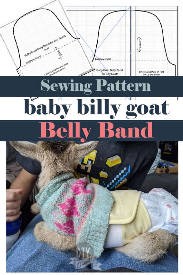 Belly Band Pattern for a Baby Goat DIY Danielle®