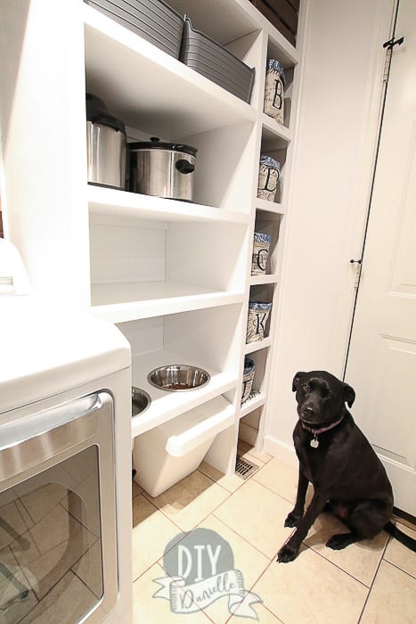 Dog next to his dog feeding station. His food is stored underneath. 