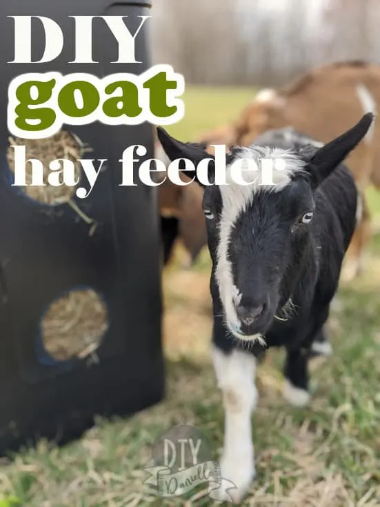 DIY Goat Hay Feeder that rolls on wheels and is easy to move! Fits a square bale of hay.