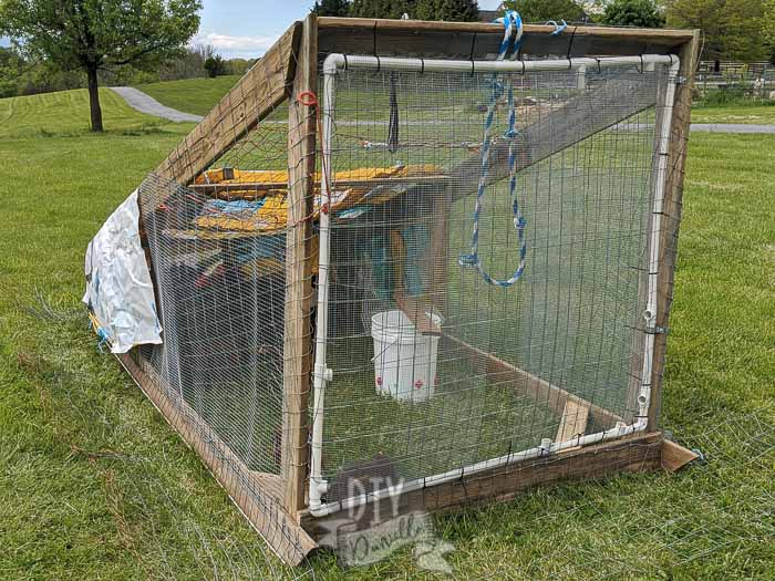 Our chicken tractor for our meat chicks. PVC door to reduce the weight. Feed bags used as tarps for cover from the rain/wind.