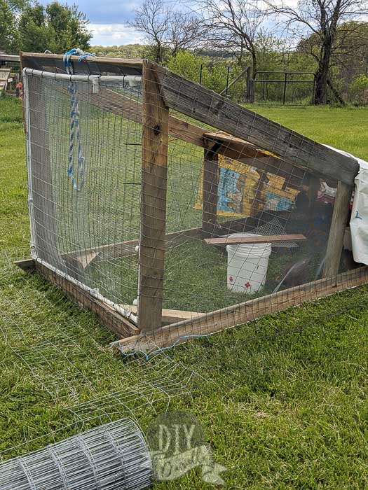 Front side view of our DIY chicken tractor made with scrap wood and pvc