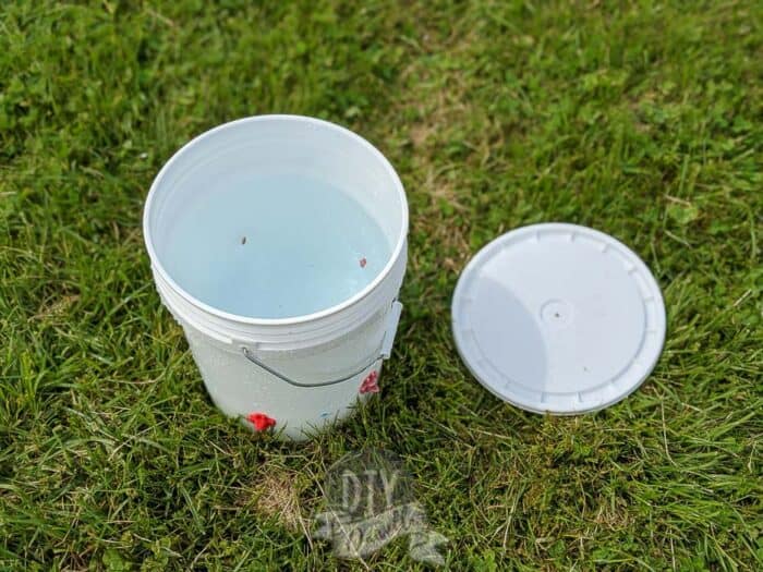 Chicken waterer made with a 5 gallon bucket. Lid on grass beside it.